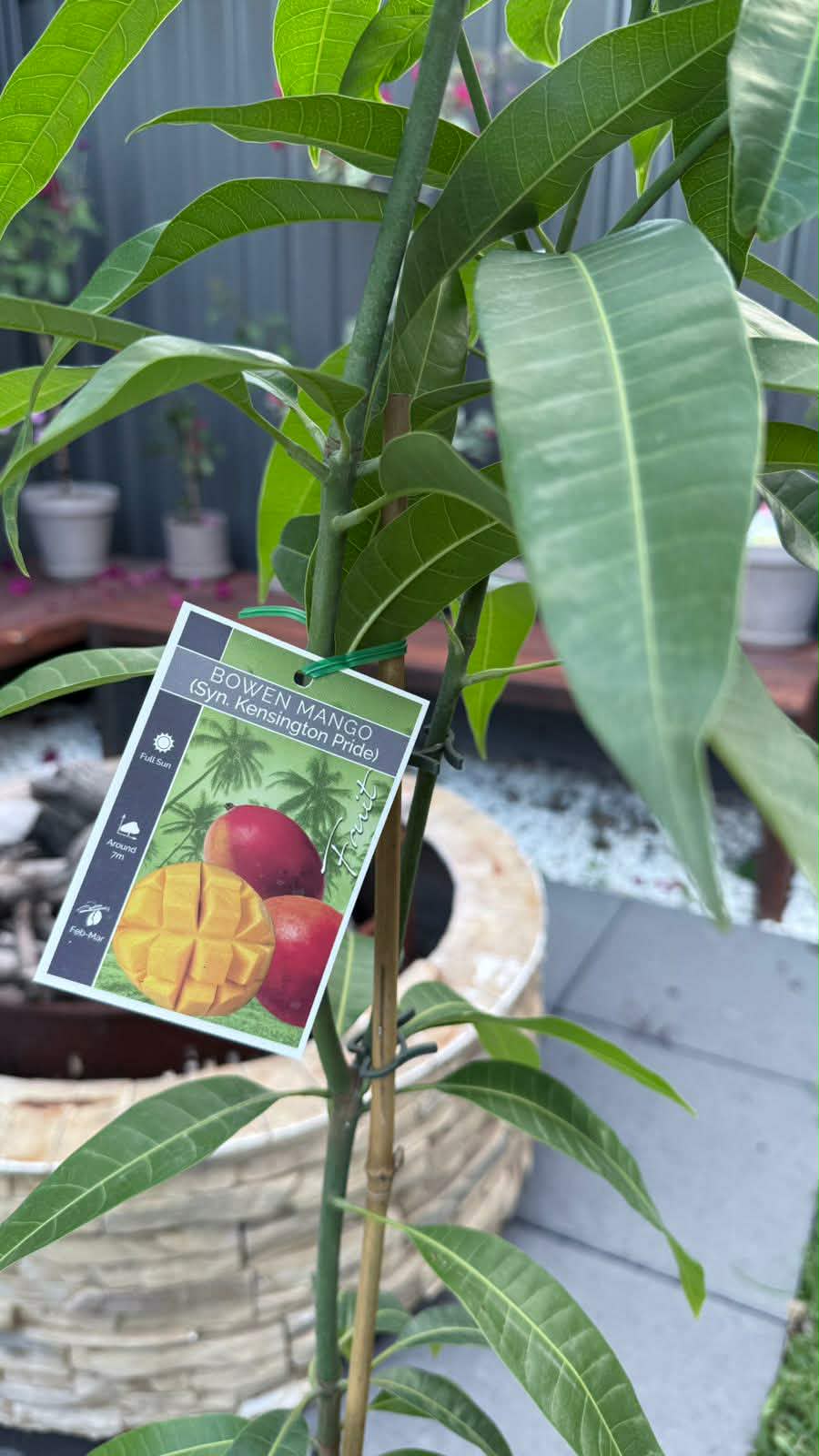 att.daOKDpERiZ60bVgujylGLdm4SPqmc7wPd3dP_qqjZ_M