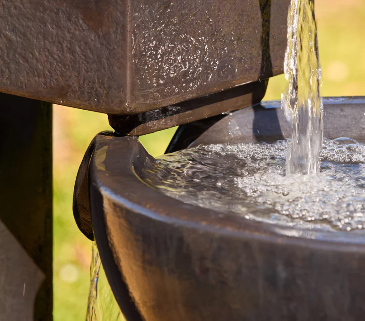 IMG_8574